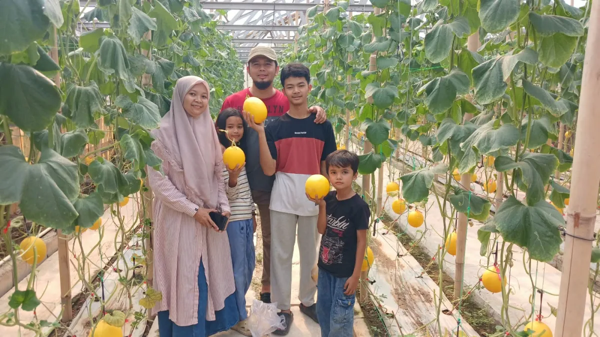 “Bukan Sekadar Petik Melon, Glenmore Farm KERSA Kenalkan Edukasi Pertanian kepada Keluarga”